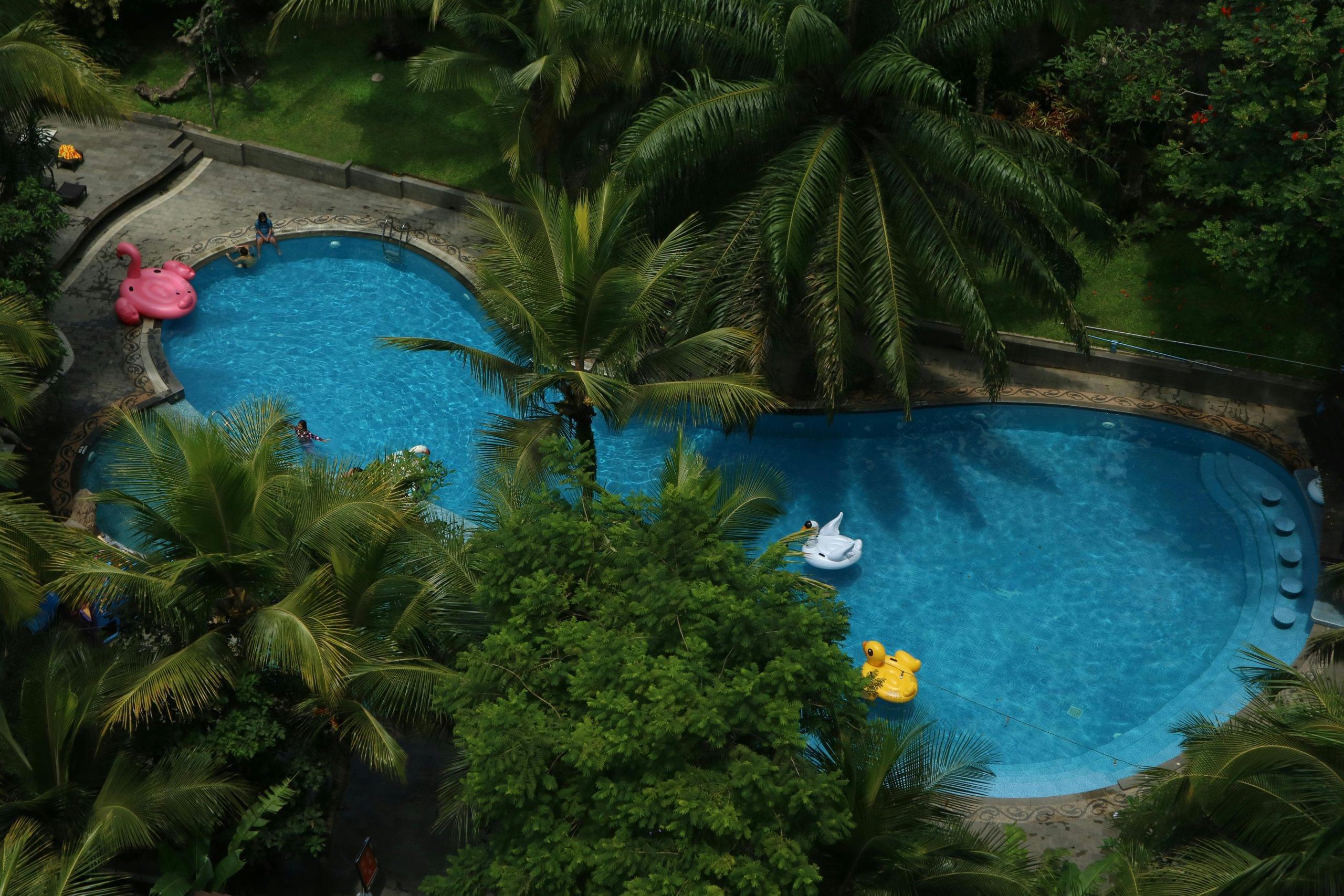 Garden and Landscaping
